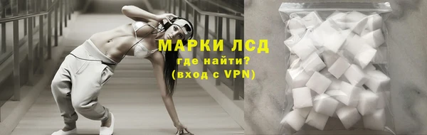 ПСИЛОЦИБИНОВЫЕ ГРИБЫ Кулебаки